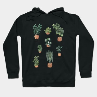 House plant in baskets Hoodie